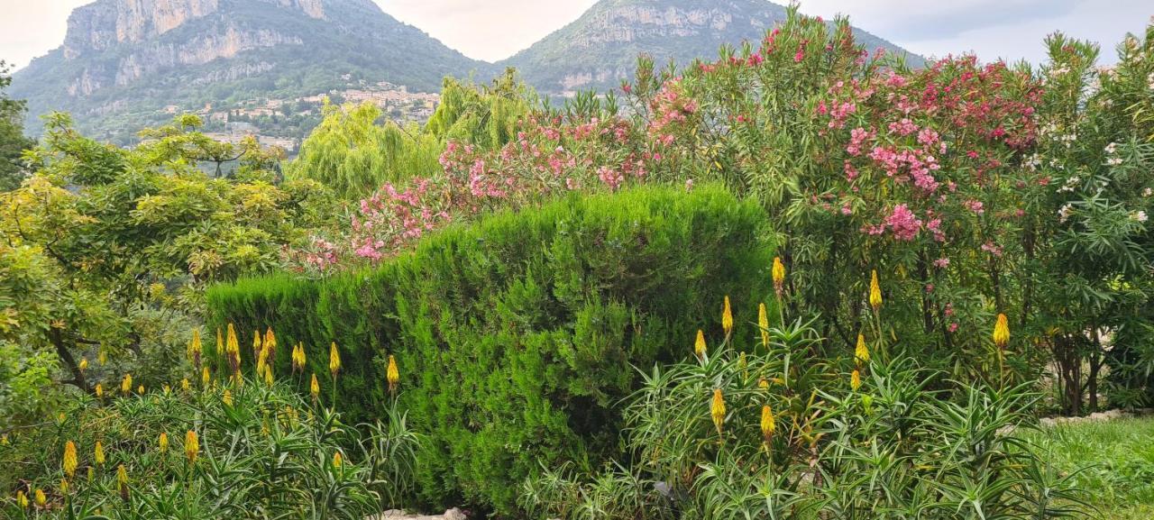 Avec Jardin Côte D'azur * La Gaude